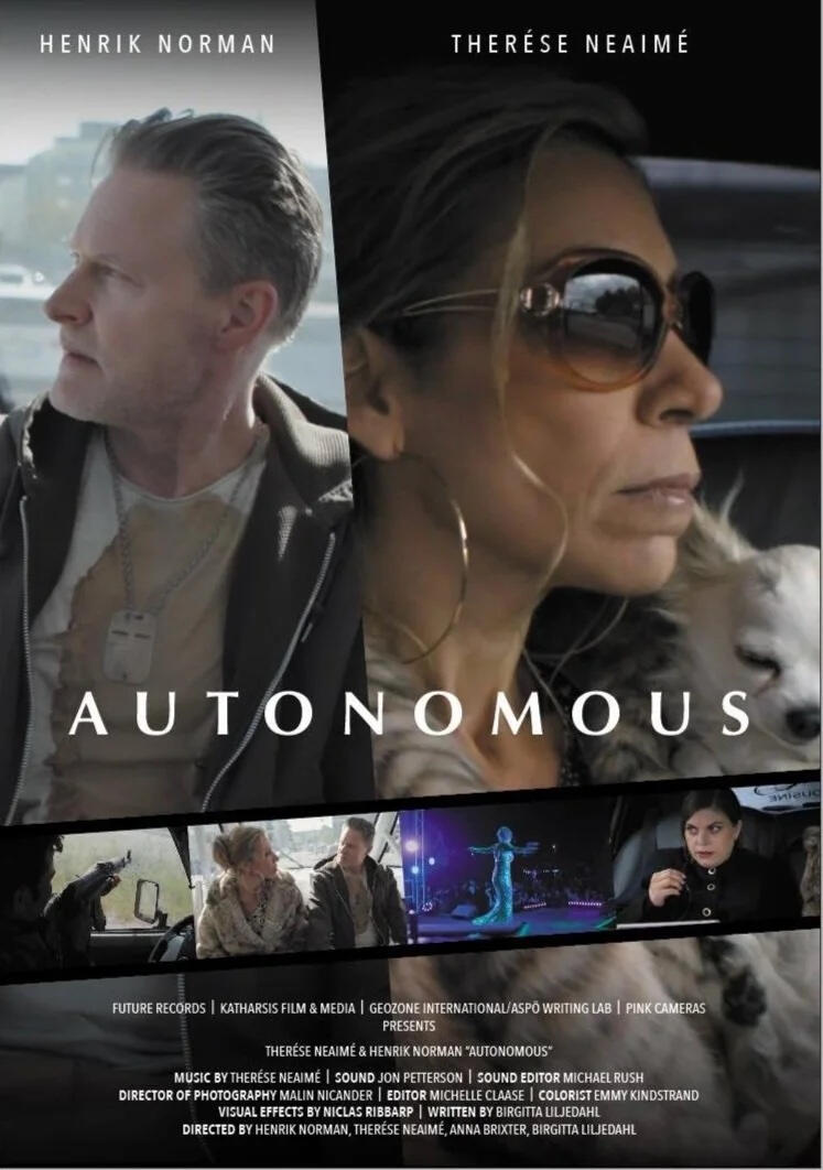 An unexpected encounter between a pop star and a war veteran on an eco-friendly bus.